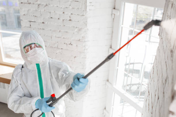 Frazee, MN Mold Removal Company