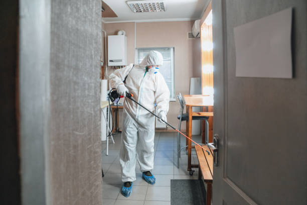 Best Dehumidification Services  in Frazee, MN