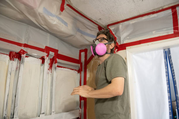 Best Mold Remediation for Rental Properties  in Frazee, MN