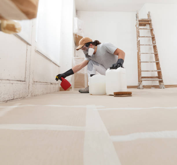 Best Airborne Mold Testing  in Frazee, MN